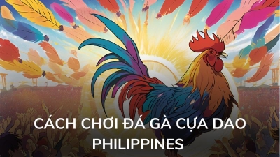 Hướng dẫn a -z  cách chơi đá gà cựa dao Philippines và chiến lược cho người mới